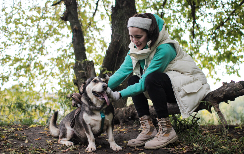 Студенты ИЕСТ создали медиапроект помощи бездомным животным