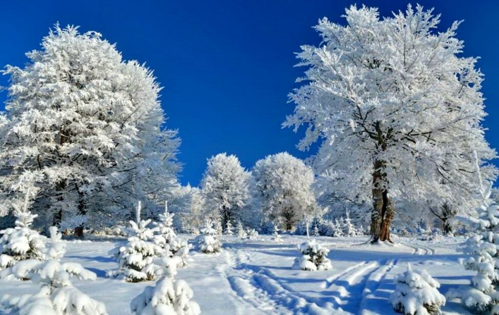 Юбиляры января