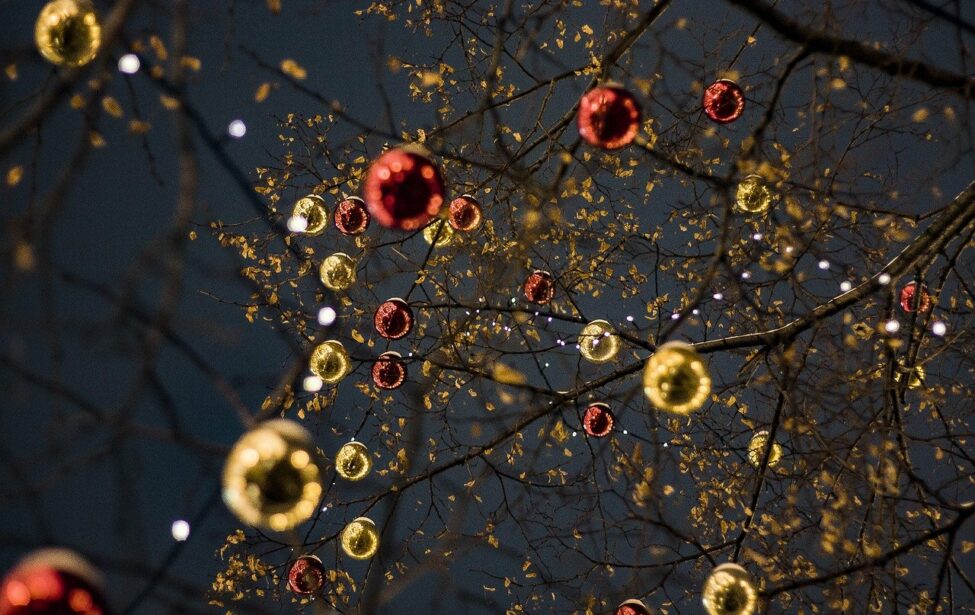 Студенты ИСПО поздравили с&nbsp;наступившим Новым годом