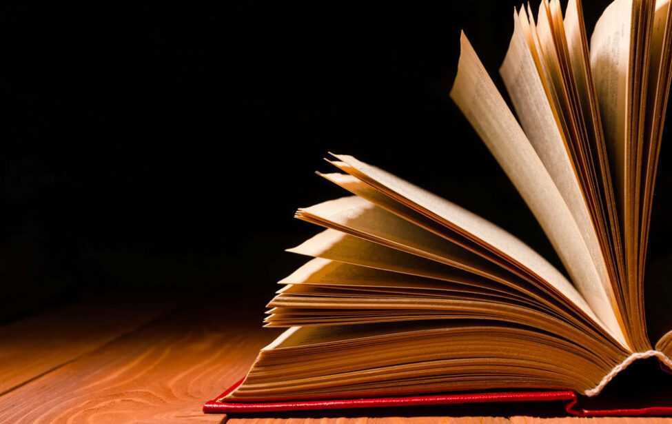 Итоги отборочного тура Олимпиады школьников по русскому языку Homo dicens