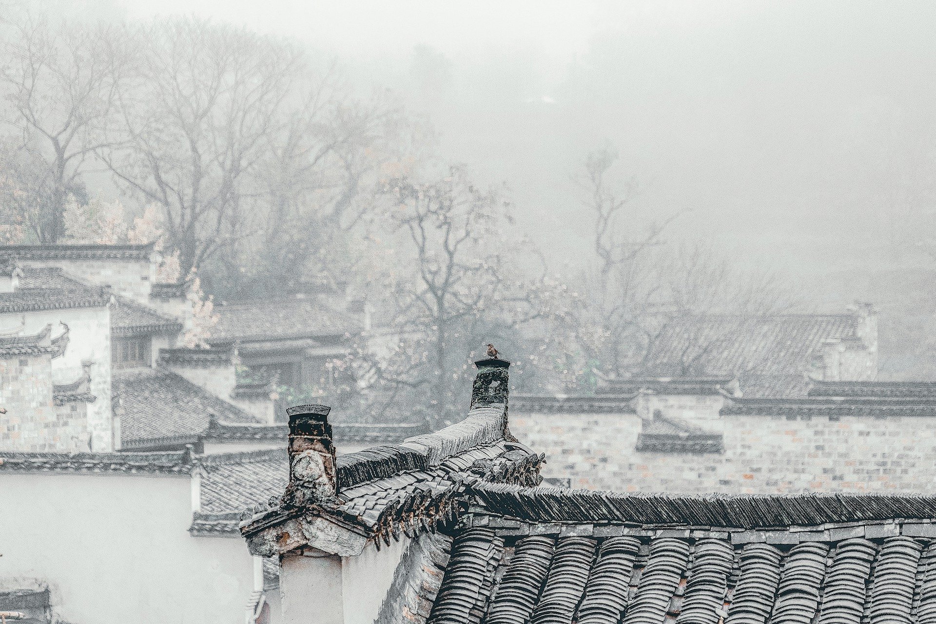 Международная конференция на&nbsp;кафедре китайского языка