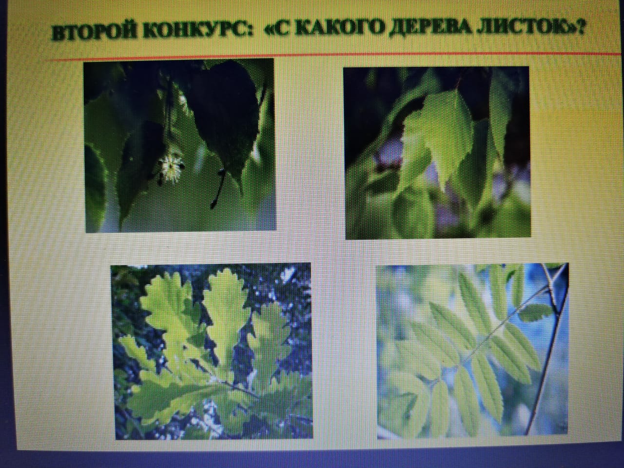 WhatsApp Image 2022-02-01 at 15.13.19 (1)