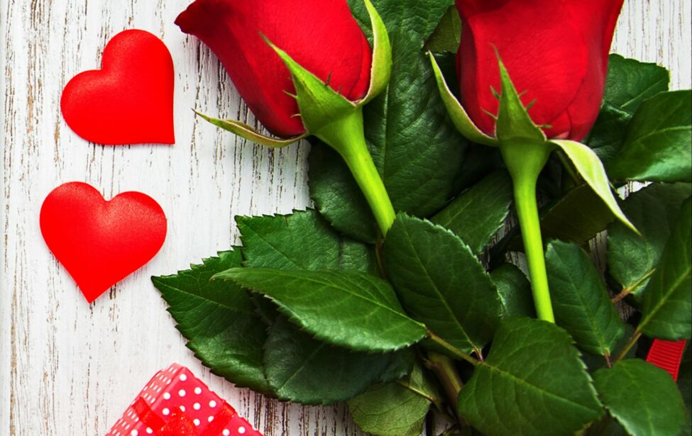 День святого Валентина на&nbsp;кафедре германистики и&nbsp;лингводидактики