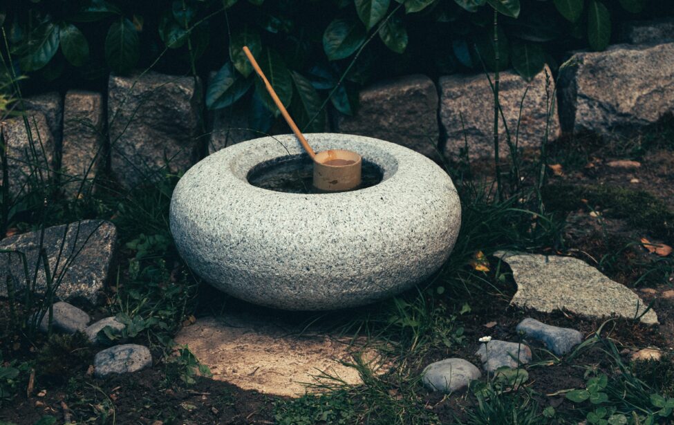 Круглый стол &laquo;Японские сады во&nbsp;Франции&raquo;