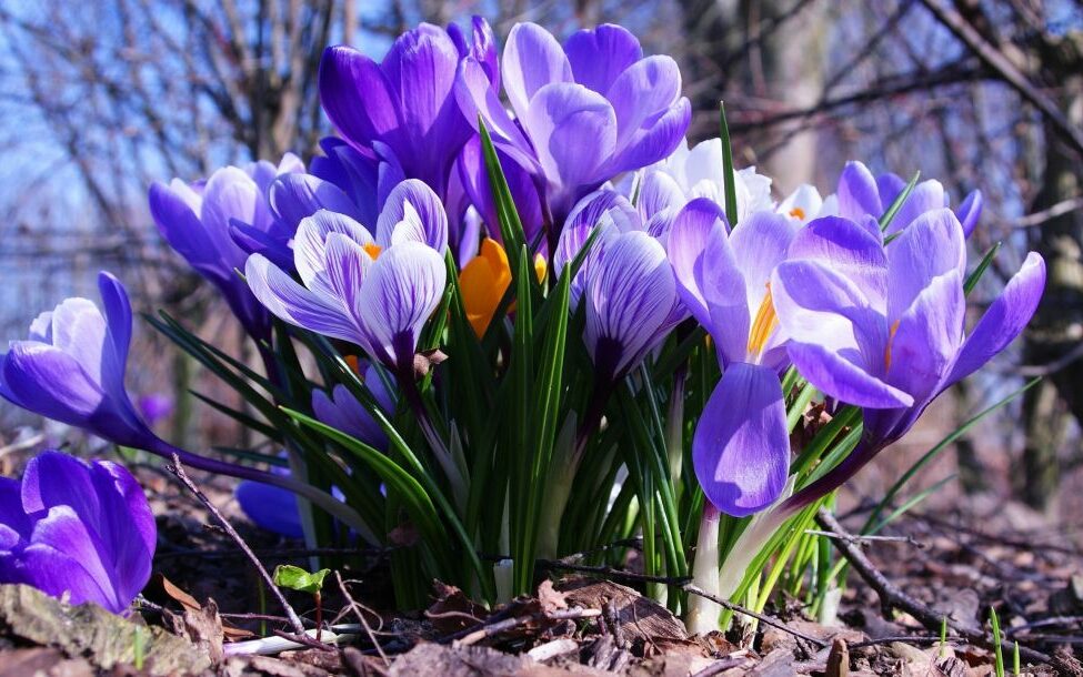 Юбиляры апреля