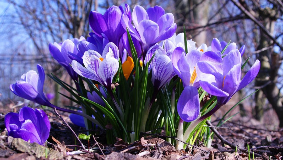 Юбиляры апреля