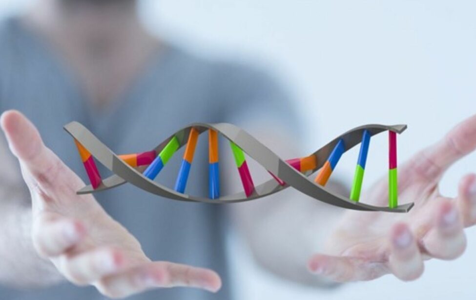 К&nbsp;Международному дню ДНК