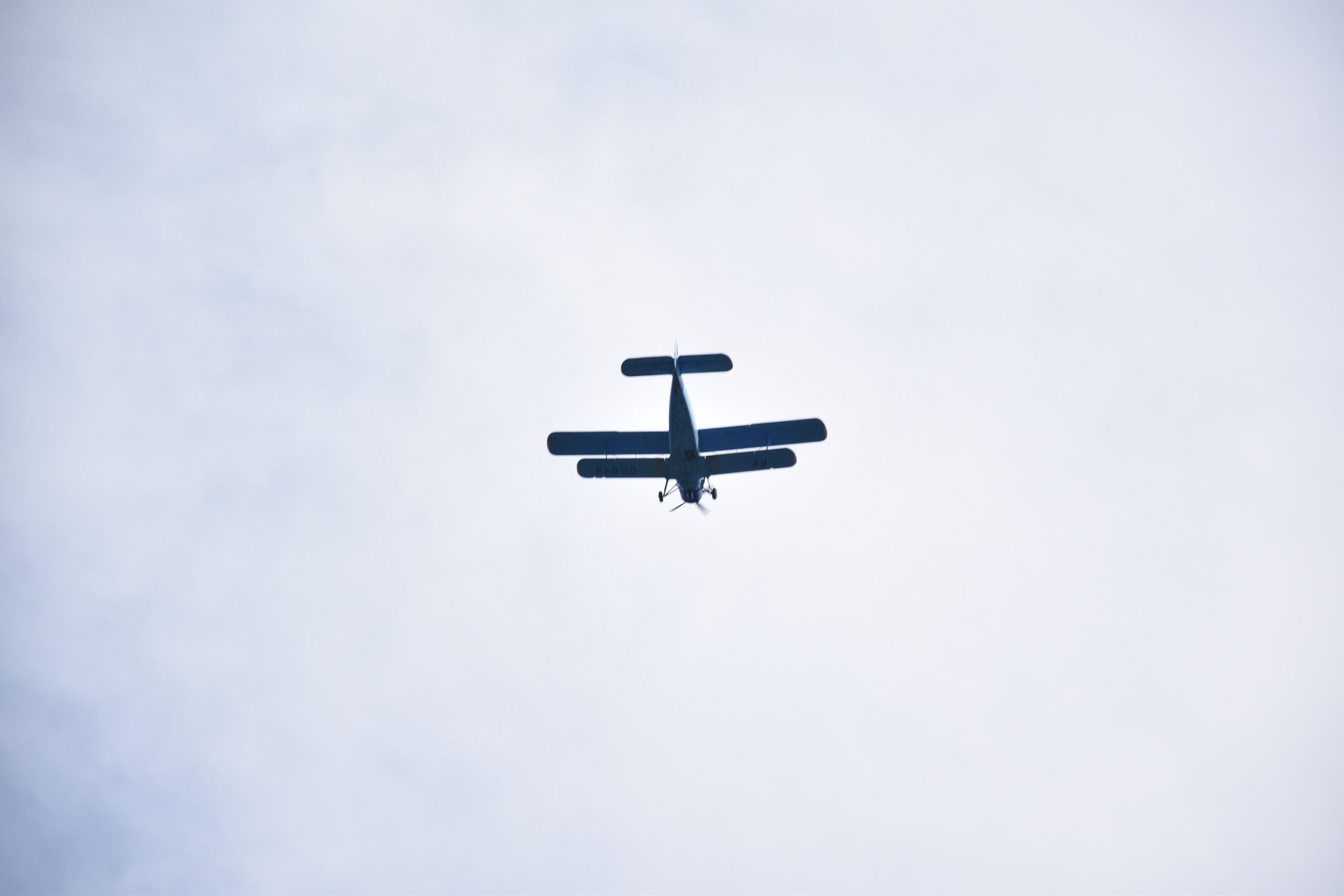 48 - Prilepina Irishka