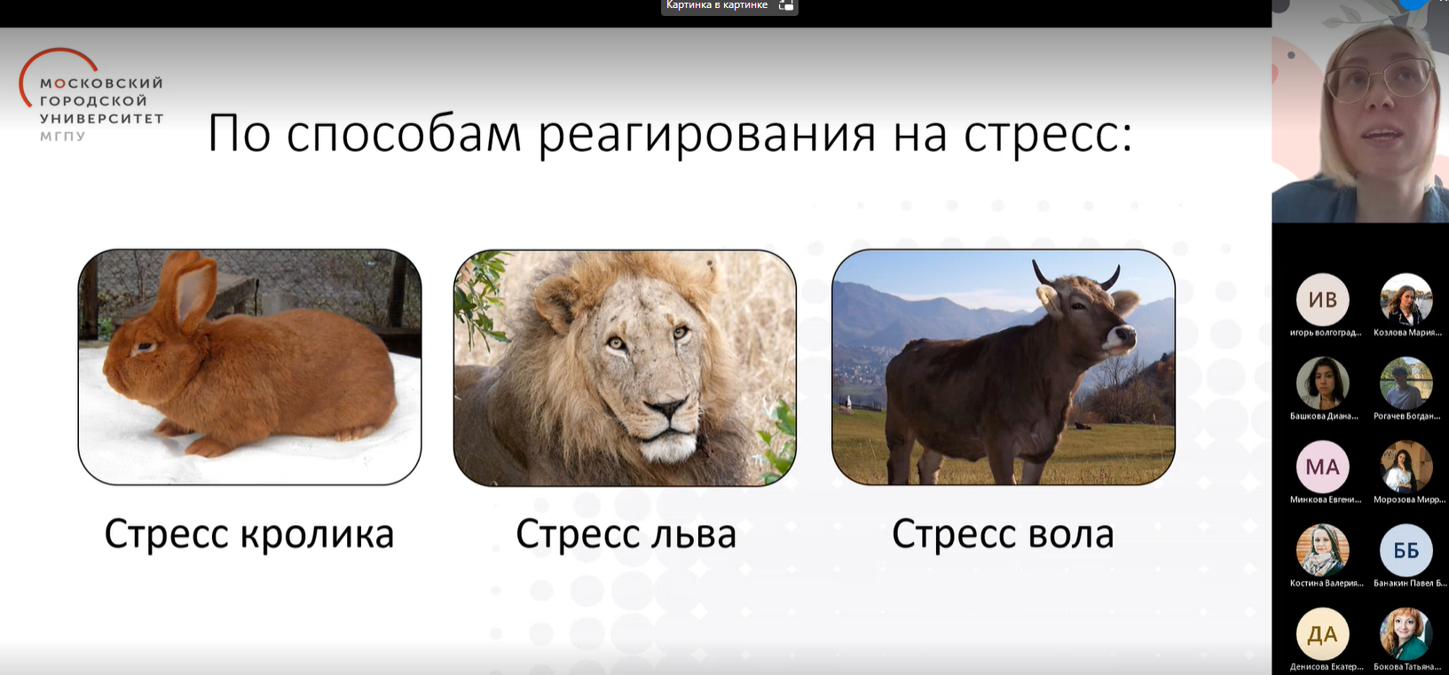 Аннотация 2022-05-23 125206