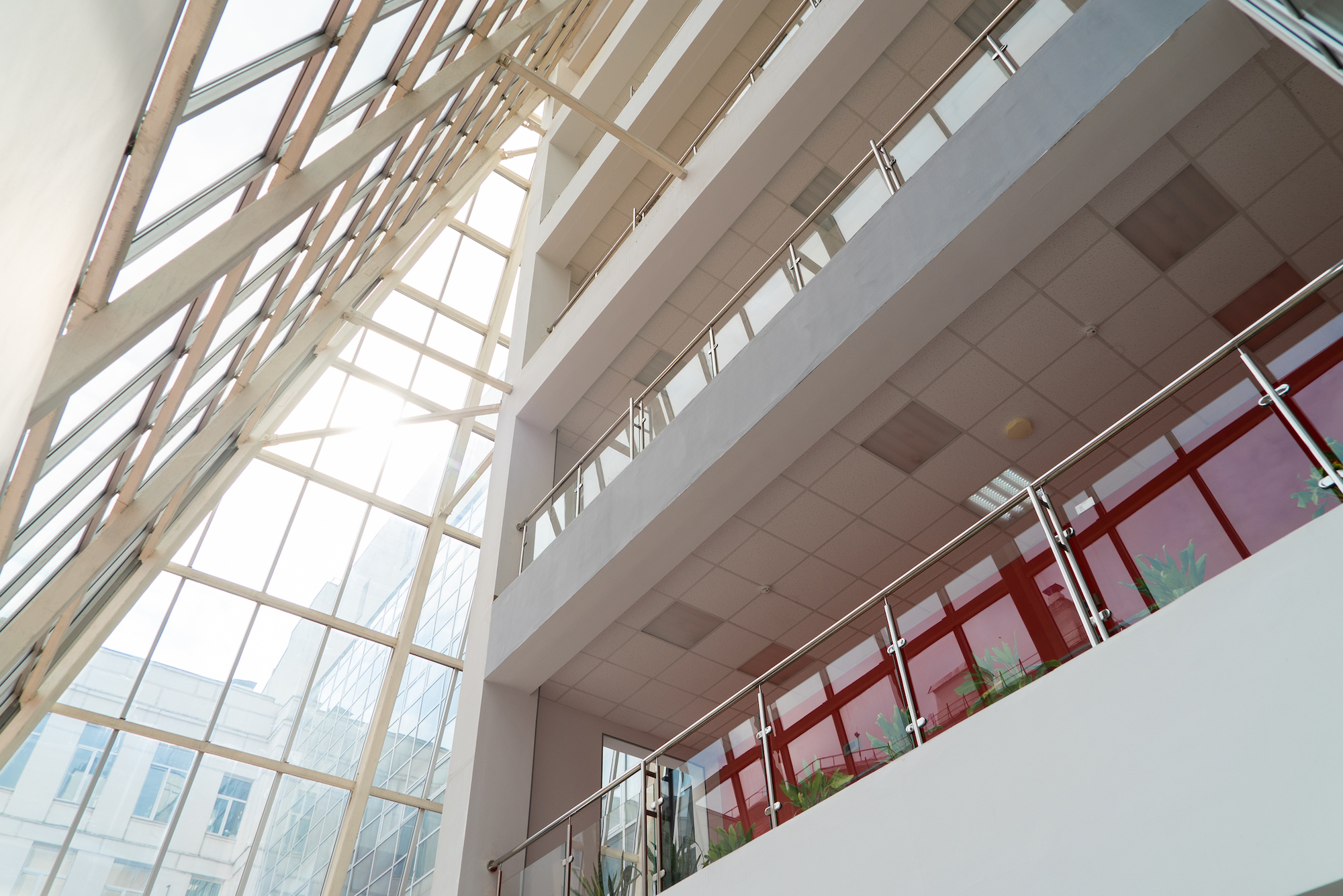 Итоги работы целевого капитала ИГН за 2024 год