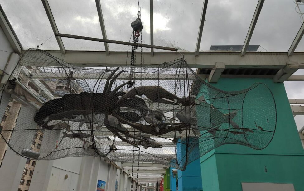 Студенты МГПУ в&nbsp;&laquo;Среде обитания&raquo; Дарвиновского музея