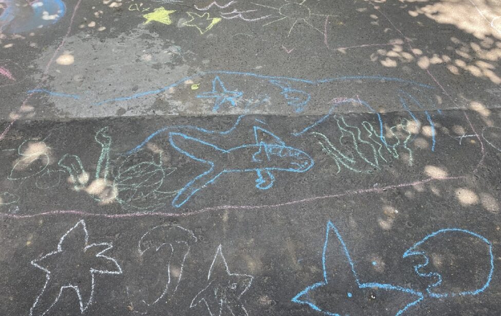 Студенты французского отделения завершили летнюю практику