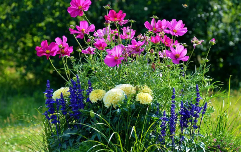 Поздравления юбилярам июля