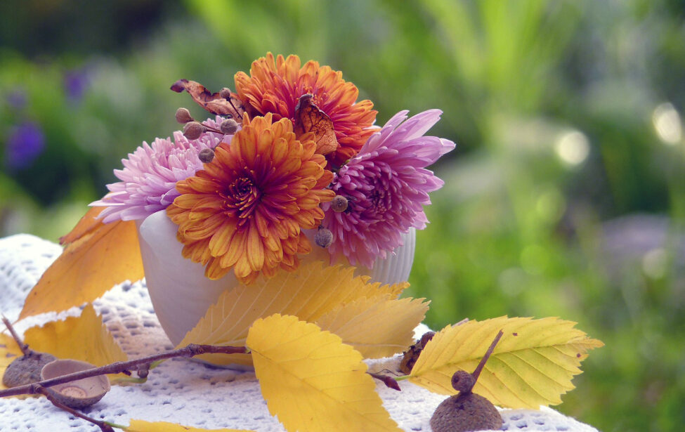 Поздравляем юбиляров октября