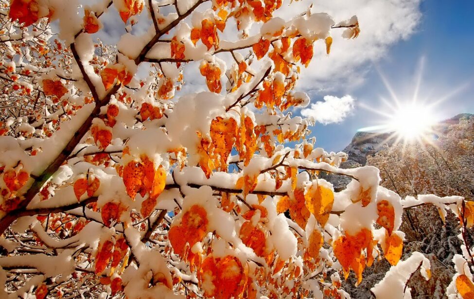 Поздравляем юбиляров ноября!