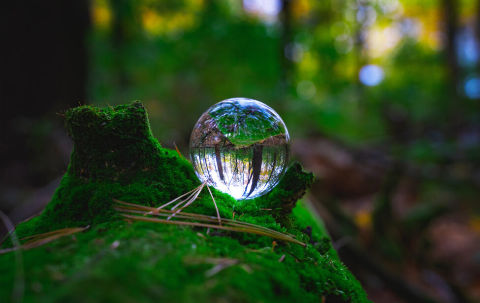 МГПУ открывает набор на&nbsp;совместную с&nbsp;экоцентром &laquo;Яуза&raquo; программу