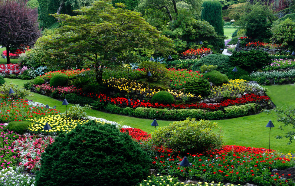 В&nbsp;МГПУ открылась программа по&nbsp;ландшафтному дизайну