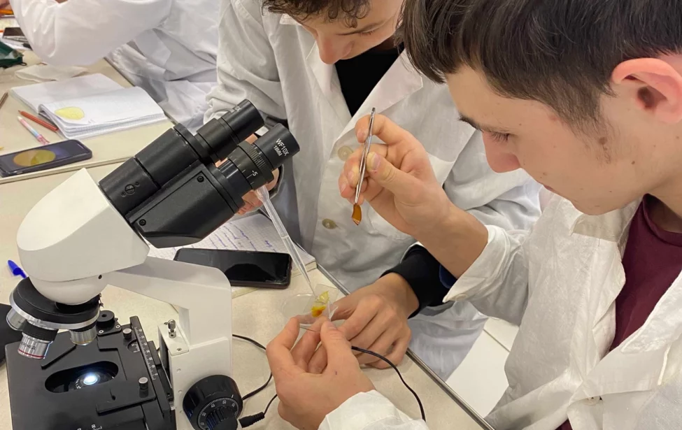 Итоги конкурса педагогических практик в&nbsp;номинации &laquo;Медицинский класс&raquo;