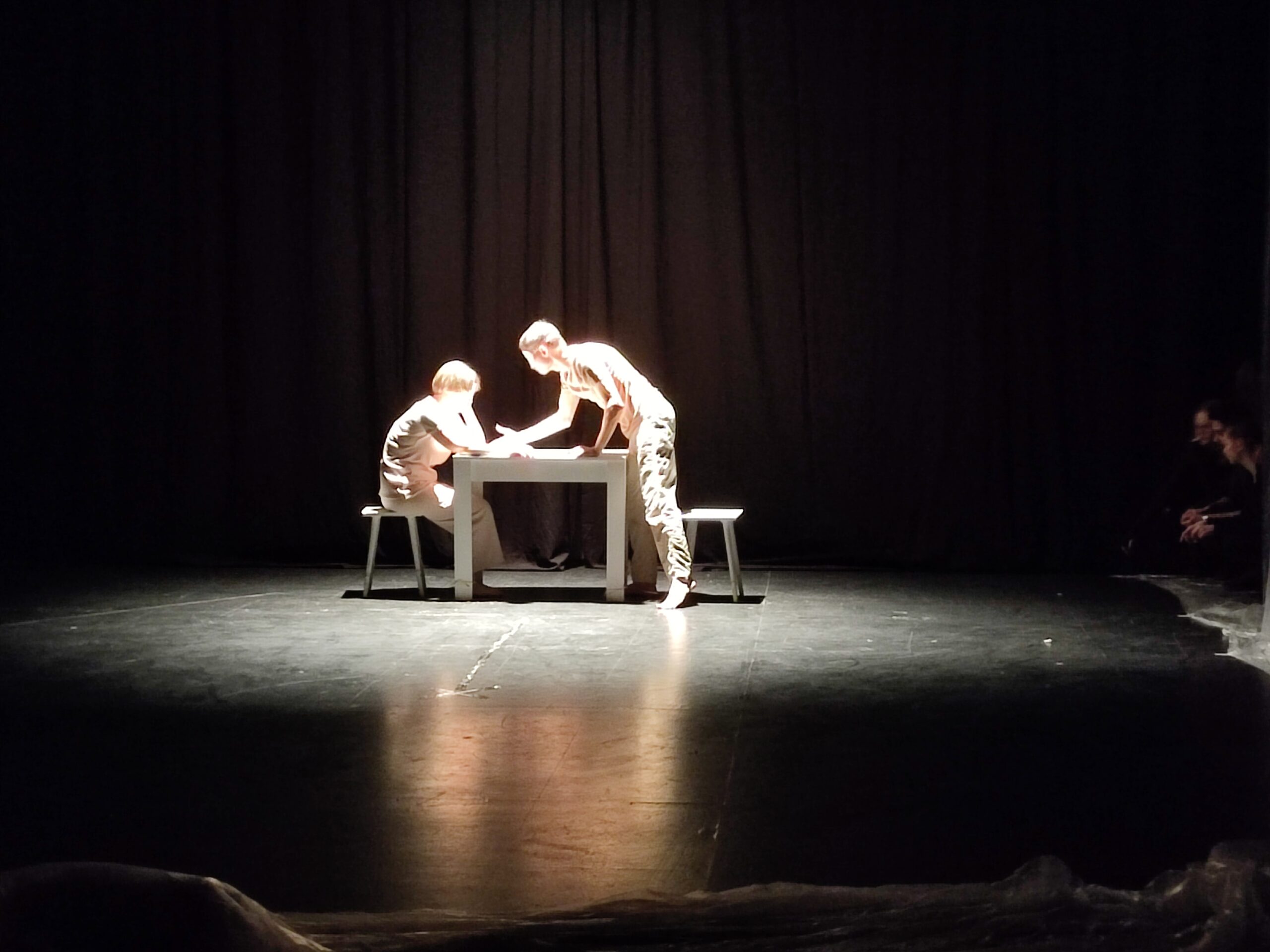 Перформанс12