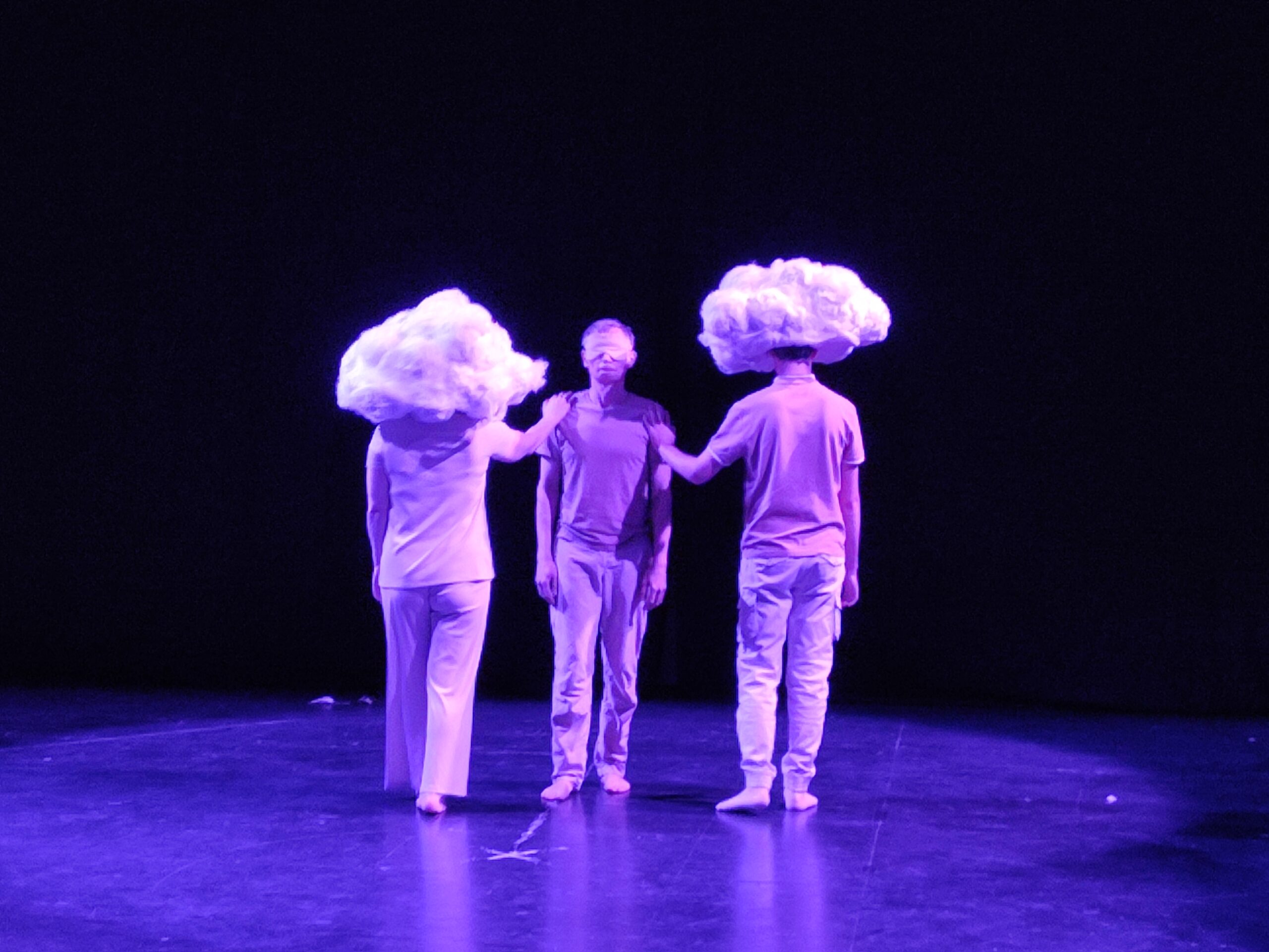 Перформанс14