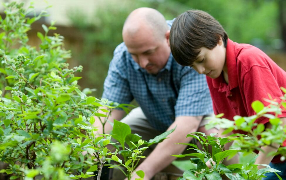 Руслан Абрамов в&nbsp;&laquo;РГ&raquo;: сельской ипотеке улучшат условия