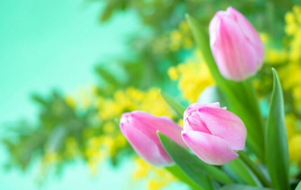 К&nbsp;Международному женскому дню