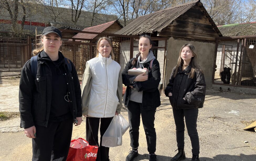Студенты ИИЯ посетили приют для бездомных собак