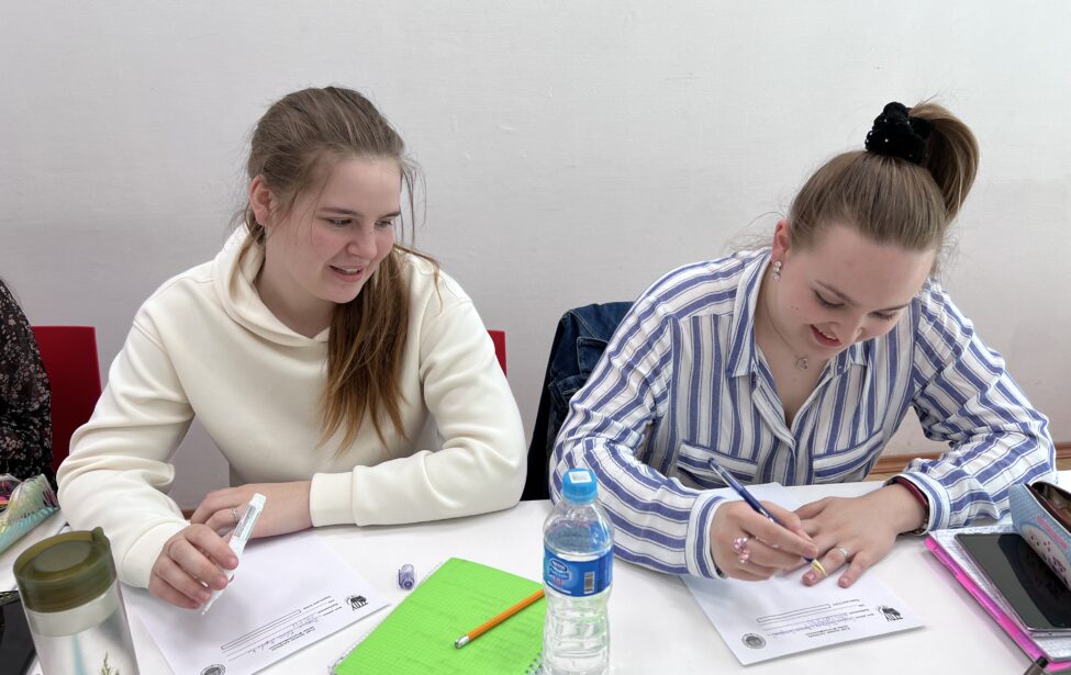 Диктант на&nbsp;французском языке #FrancaisMonAmour