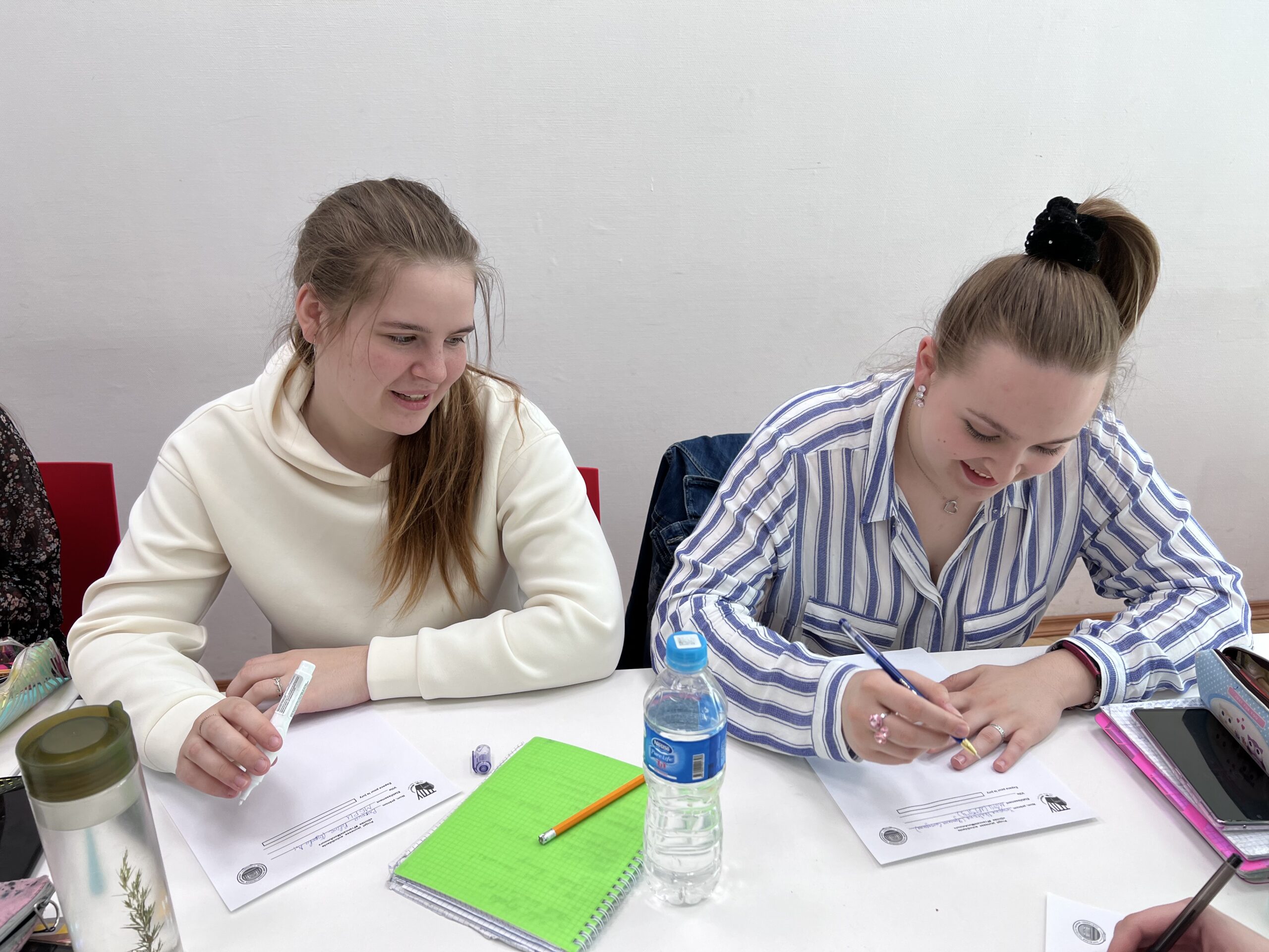 Диктант на&nbsp;французском языке #FrancaisMonAmour