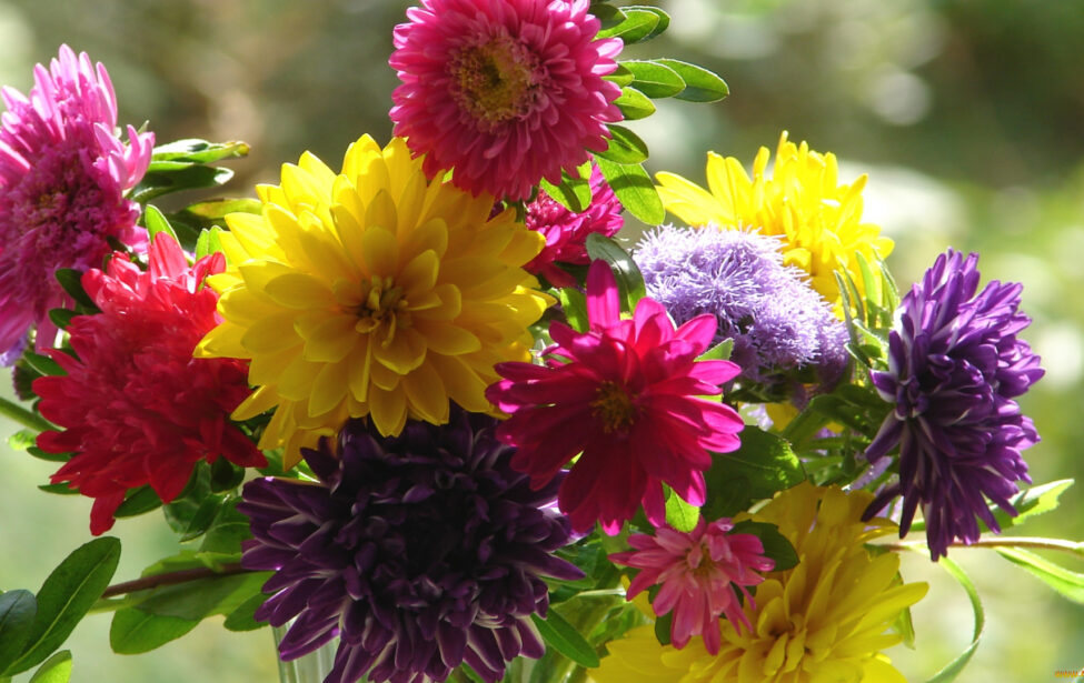 Наши поздравления юбилярам