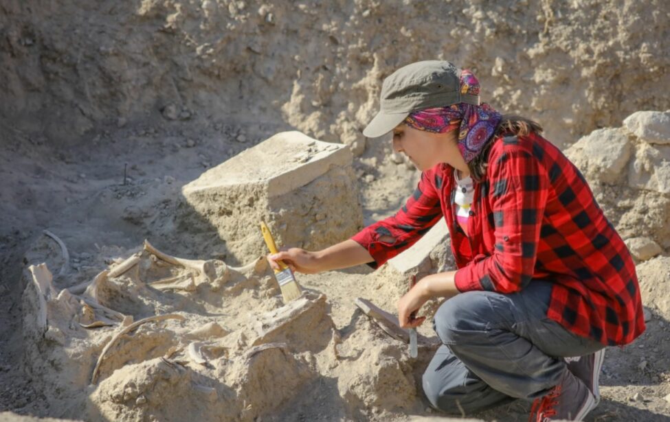 Ко&nbsp;дню археолога