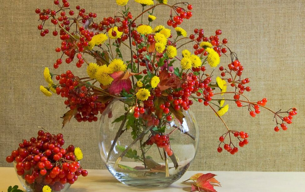 Юбиляры сентября встретили новый учебный год