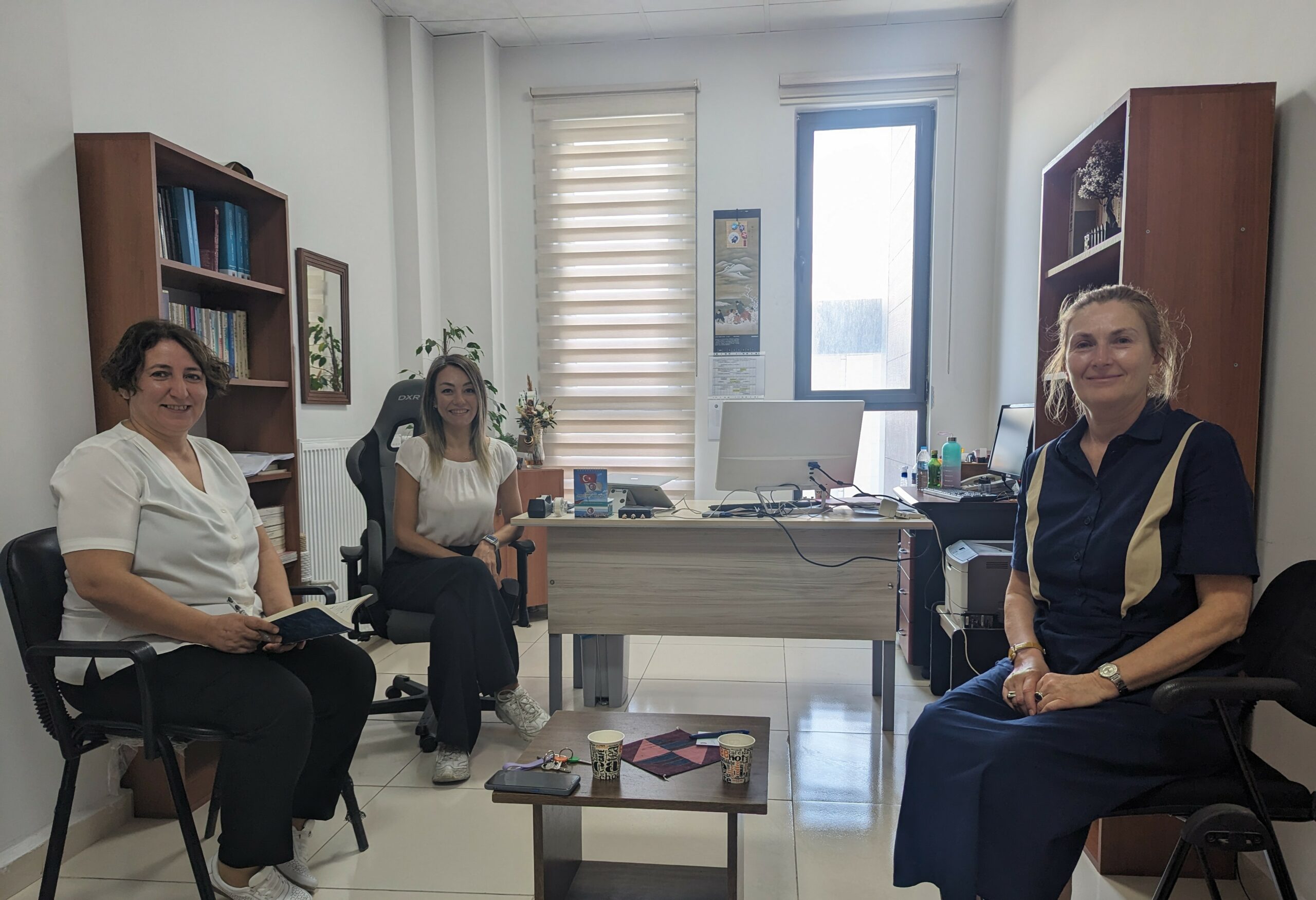 Сотрудничество с Турцией