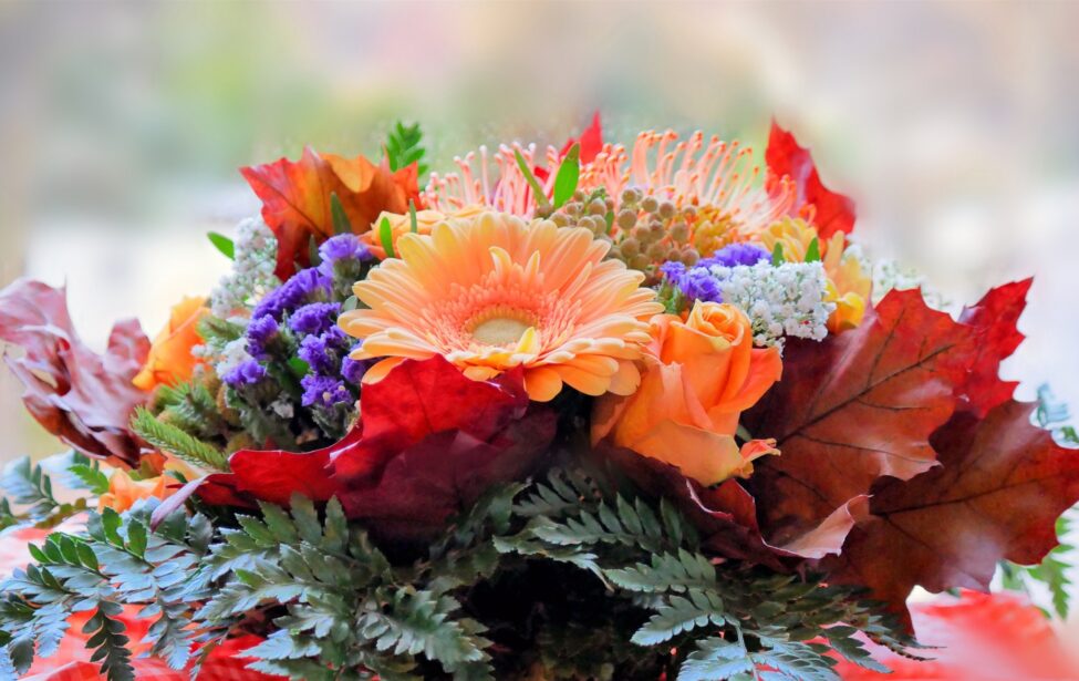 Поздравляем ноябрьских юбиляров