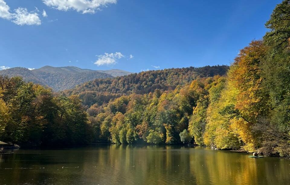 Как проходит обучение студентов МГПУ в Российско-Армянском университете?