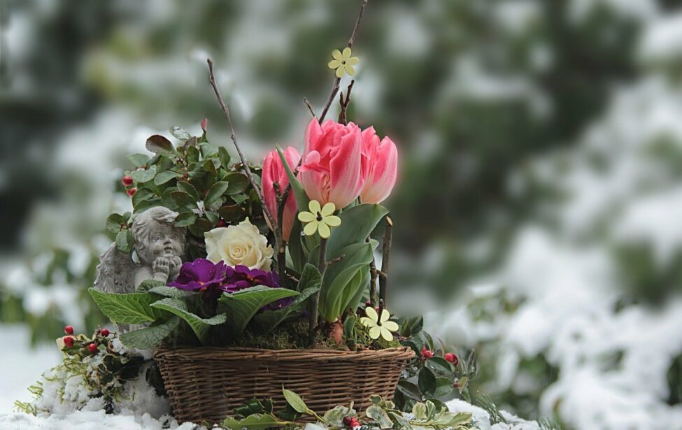 Юбиляры января 2024 года