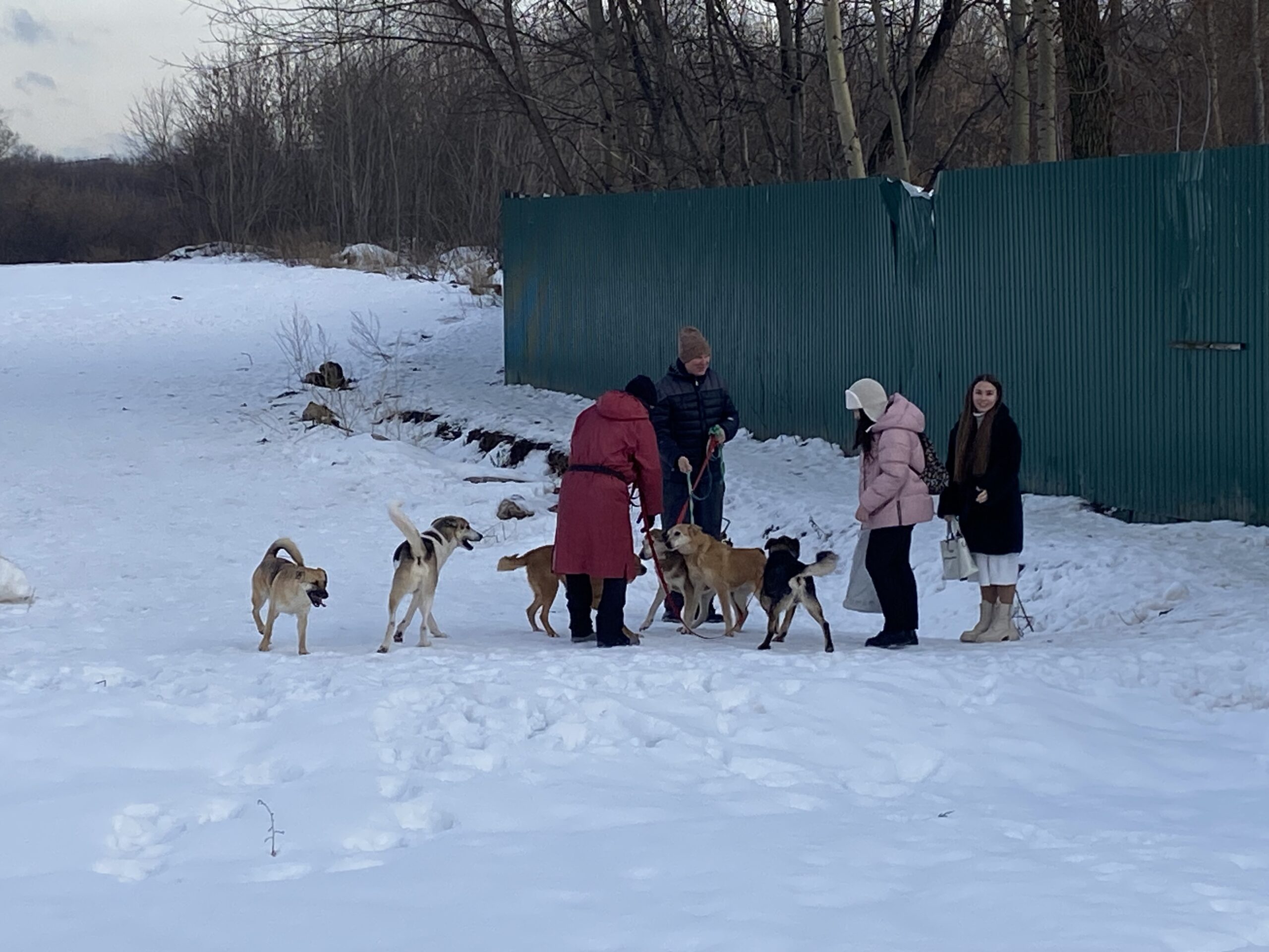 Дарим подарки братьям нашим меньшим