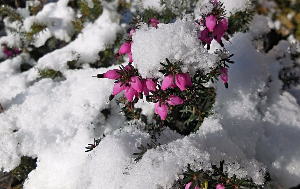 Февральские юбиляры-ветераны