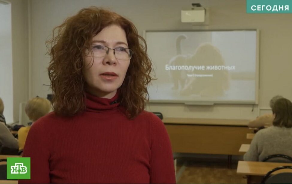 Занятия по душе: участники «Московского долголетия» осваивают новые программы