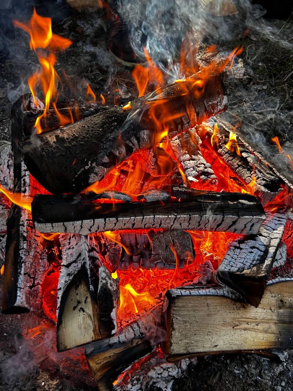 Изображение WhatsApp 2024-04-17 в 19.51.06_2cfef8db