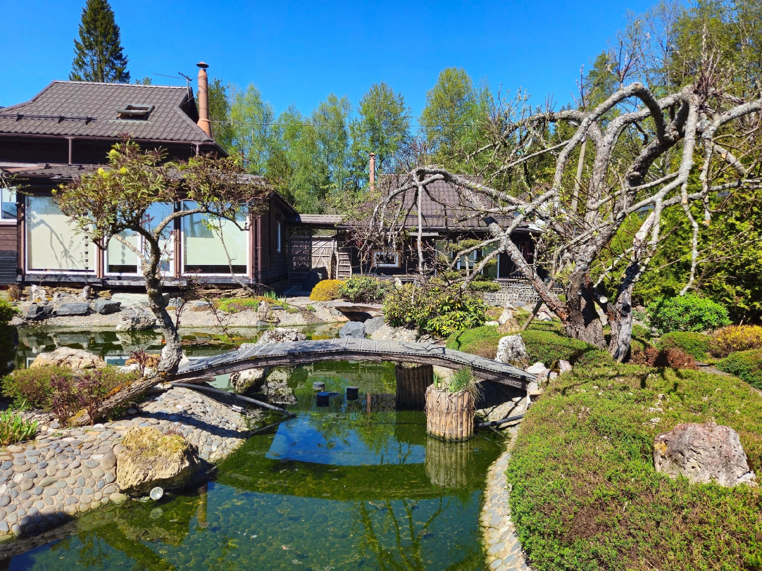 И вновь «Петербург Востоковедный»