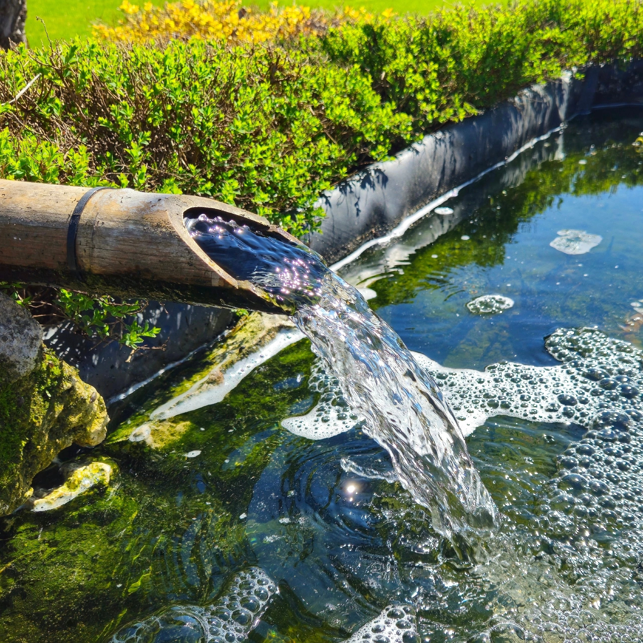 И вновь «Петербург Востоковедный»