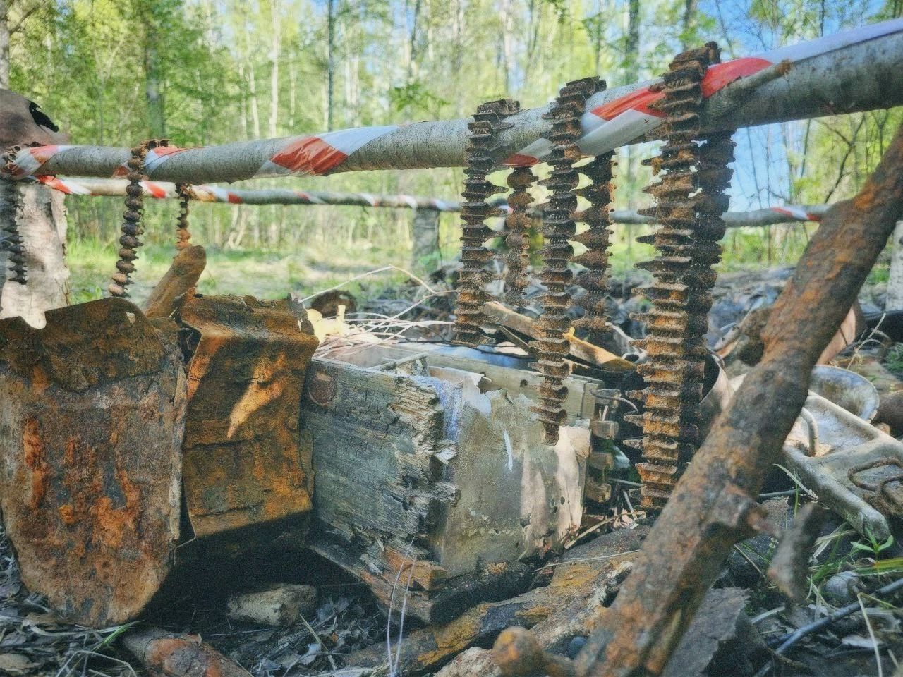 WhatsApp Image 2024-05-08 at 10.19.36 (1)