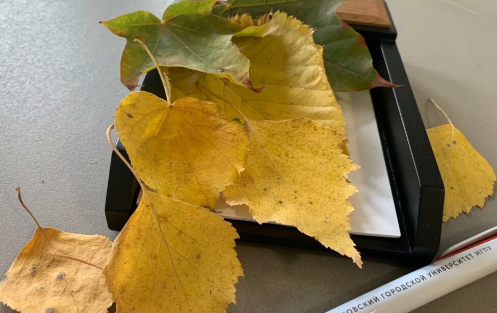 Стартовал этап &laquo;Демонстрация модельных учебных занятий&raquo;