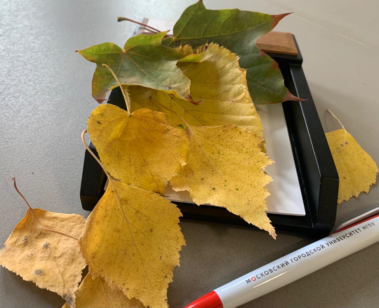 Стартовал этап «Демонстрация модельных учебных занятий»