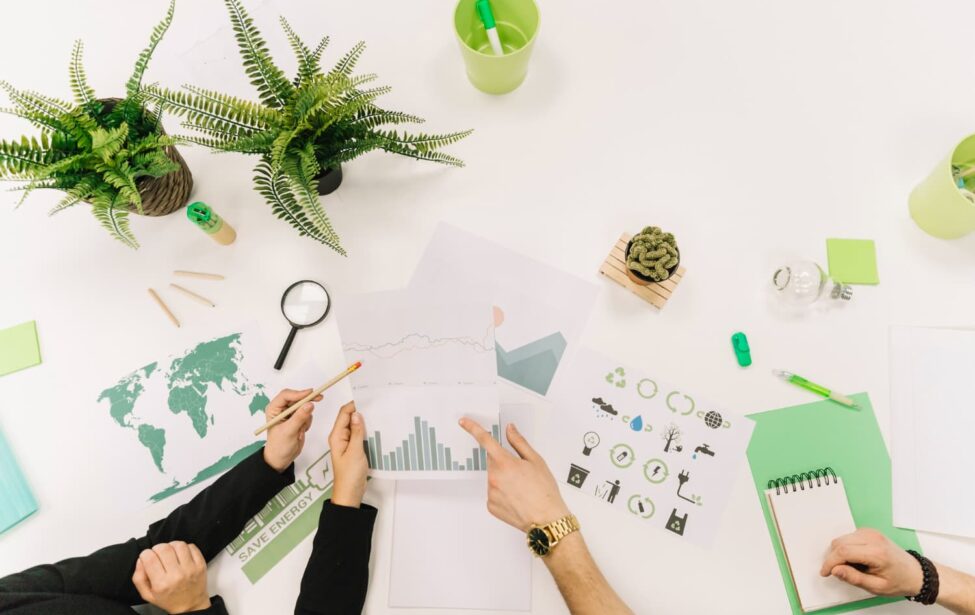 Модель экологического воспитания: от обсуждений к реализации