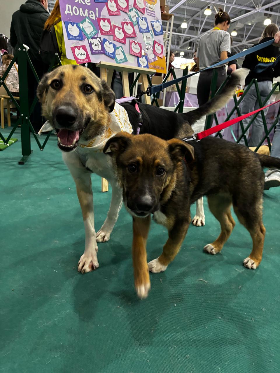 019b0826-04c4-4813-8d6d-a2f32686a729