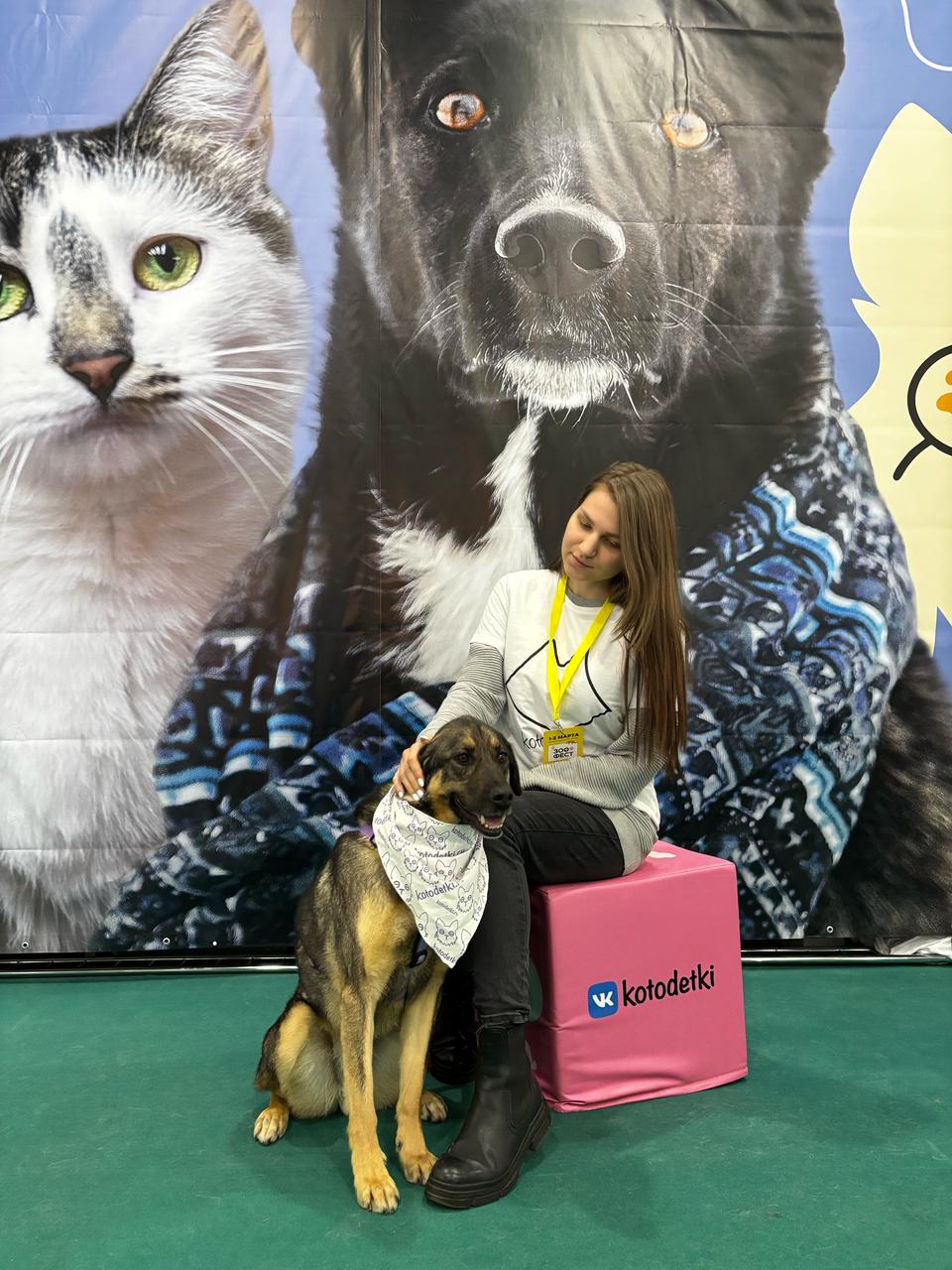 18ad8870-3284-45f9-9881-4d4902747f74