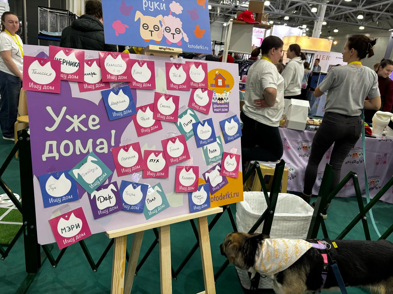 c184c2a9-2092-40c0-a143-4348b35d3685