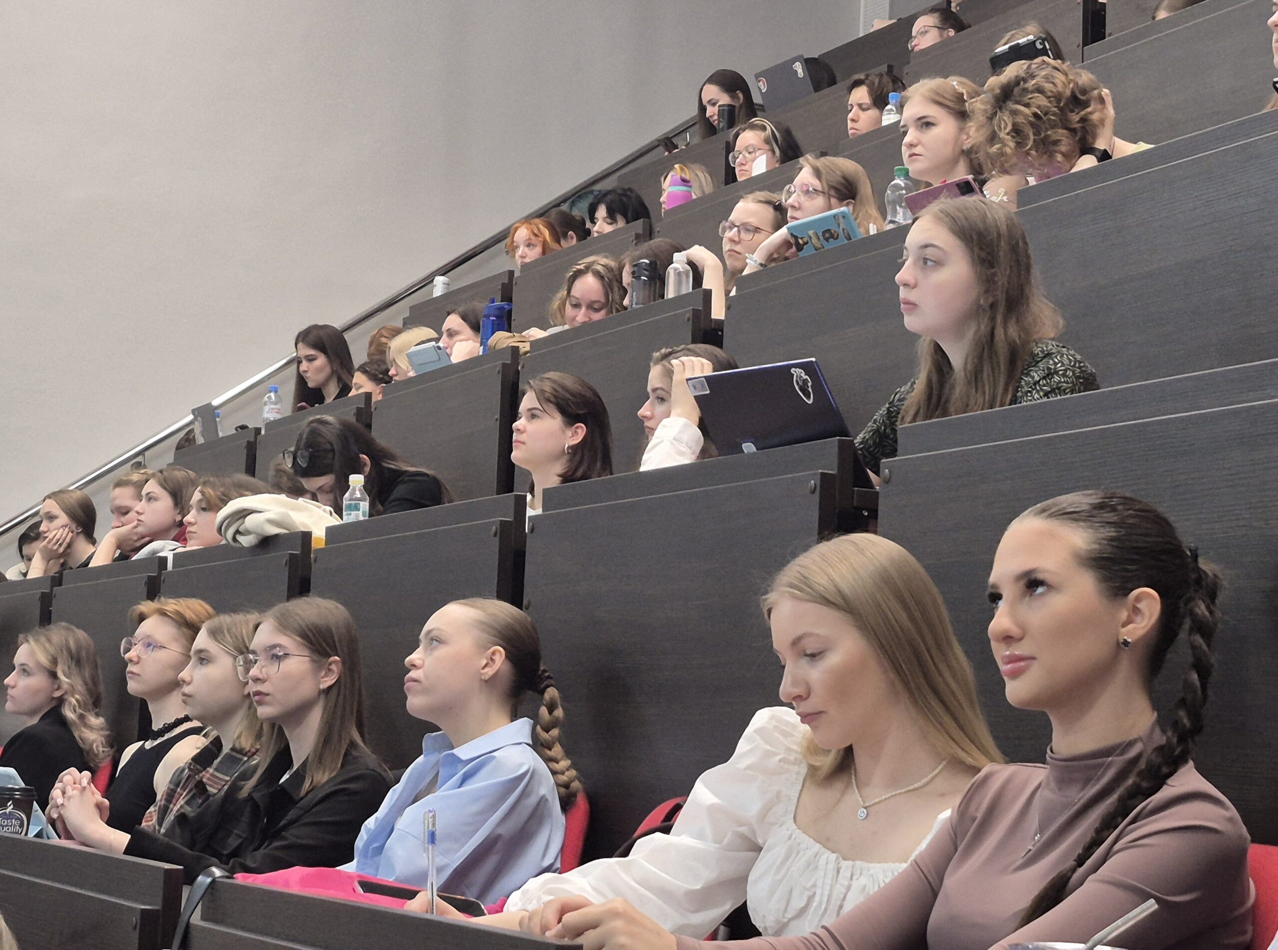 загруженное (4)